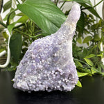 Natural Grape Agate Crystal Gemstone Mineral Specimens for Resale, Collectors, and Crystal Shops