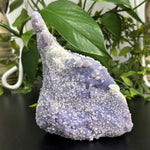 Natural Grape Agate Crystal Gemstone Mineral Specimens for Resale, Collectors, and Crystal Shops