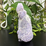 Natural Grape Agate Crystal Gemstone Mineral Specimens for Resale, Collectors, and Crystal Shops