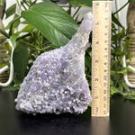 Natural Grape Agate Crystal Gemstone Mineral Specimens for Resale, Collectors, and Crystal Shops
