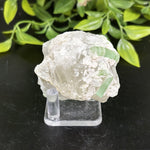 Natural Green Tourmaline Raw Crystal Mineral Specimen