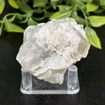 Natural Green Tourmaline Raw Crystal Mineral Specimen