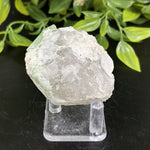 Natural Green Tourmaline Raw Crystal Mineral Specimen