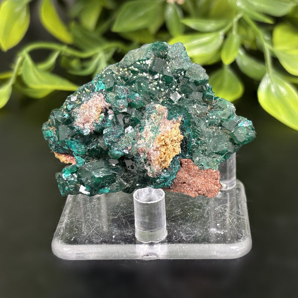 Natural Dioptase Crystal Mineral Specimen – Powerful Healing Stone for Emotional Balance, Heart & Spiritual Transformation