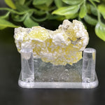 Natural Brucite Crystal Mineral Specimen – Powerful Healing Stone for Clarity, Confidence & Energy Cleansing