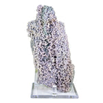 Grape Agate Mineral Specimen - RMI873