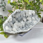Chalcedony & Apophyllite Mineral Specimen - RMI881