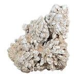 Desert Rose Mineral Specimen - RMI882