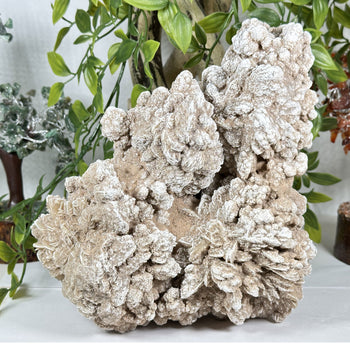 Desert Rose Mineral Specimen - Gem Avenue Retail