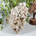 Desert Rose Mineral Specimen - RMI882
