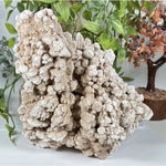 Desert Rose Mineral Specimen - RMI882