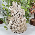 Desert Rose Mineral Specimen - RMI882