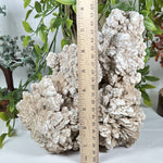 Desert Rose Mineral Specimen - RMI882