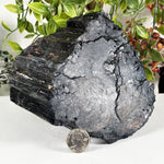 Black Tourmaline Mineral Specimen - RMI897