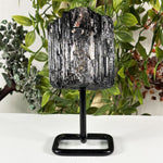 Black Tourmaline Mineral Specimen - RMI898