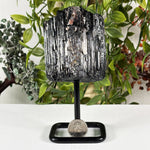 Black Tourmaline Mineral Specimen - RMI898