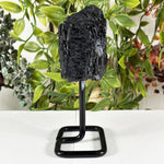 Natural Black Tourmaline Crystal Mineral Specimen 5.25