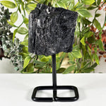 Natural Black Tourmaline Crystal Mineral Specimen 5.25