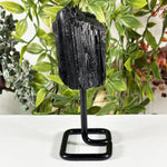 Natural Black Tourmaline Crystal Mineral Specimen 5.25