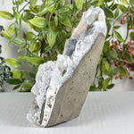 Chalcedony Mineral Specimen - RMI901