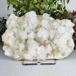 Green Apophyllite with Stilbite Mineral Specimen - RMI903