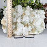 Green Apophyllite with Stilbite Mineral Specimen - RMI903