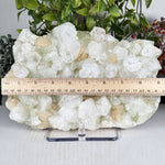 Green Apophyllite with Stilbite Mineral Specimen - RMI903