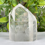Clear Quartz Crystal Point - RPO535