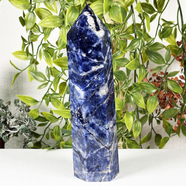Natural Polished Sodalite Crystal Tower - Gem Avenue Retail