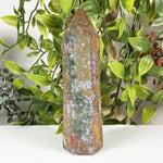 Sea Jasper Gemstone Tower Point - RPO599