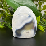 Orca Agate Gemstone Freeform - RPS449