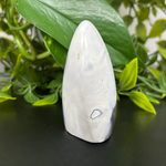 Orca Agate Gemstone Freeform - RPS449