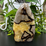 Septarian Gemstone Freeform - RPS455