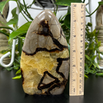 Septarian Gemstone Freeform - RPS455