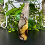 Septarian Gemstone Freeform - RPS455