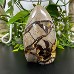 Septarian Gemstone Freeform - RPS455