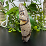 Septarian Gemstone Freeform - RPS455