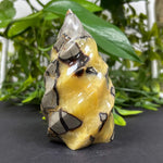 Septarian Flame Gemstone Freeform - RPS462
