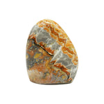Bumble Bee Jasper Gemstone Freeform - RPS469