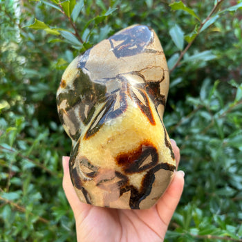 Septarian Gemstone Freeform - RPS496