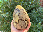 Septarian Gemstone Freeform - RPS498