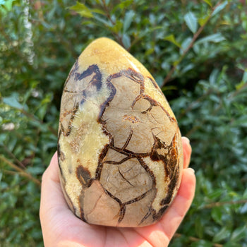 Septarian Gemstone Freeform - RPS498
