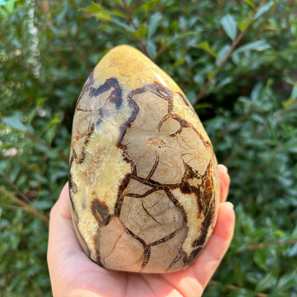 Septarian Gemstone Freeform - RPS498
