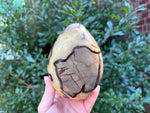 Septarian Gemstone Freeform - RPS499
