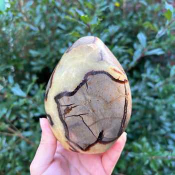 Septarian Gemstone Freeform - RPS499