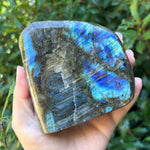 Natural Polished Labradorite Freeform Crystal with Vibrant Blue and Gold Flash Healing Stone for Meditation, Focus, and Home Decor Display - RPS505