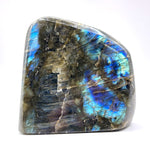 Natural Polished Labradorite Freeform Crystal with Vibrant Blue and Gold Flash Healing Stone for Meditation, Focus, and Home Decor Display - RPS505