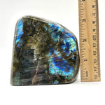 Natural Polished Labradorite Freeform Crystal with Vibrant Blue and Gold Flash Healing Stone for Meditation, Focus, and Home Decor Display - RPS505