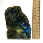 Natural Polished Labradorite Freeform Crystal with Blue & Gold Flash for Healing, Meditation, and Home Decor - RPS509
