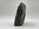 Natural Polished Labradorite Freeform Crystal with Blue & Gold Flash for Healing, Meditation, and Home Decor - RPS512